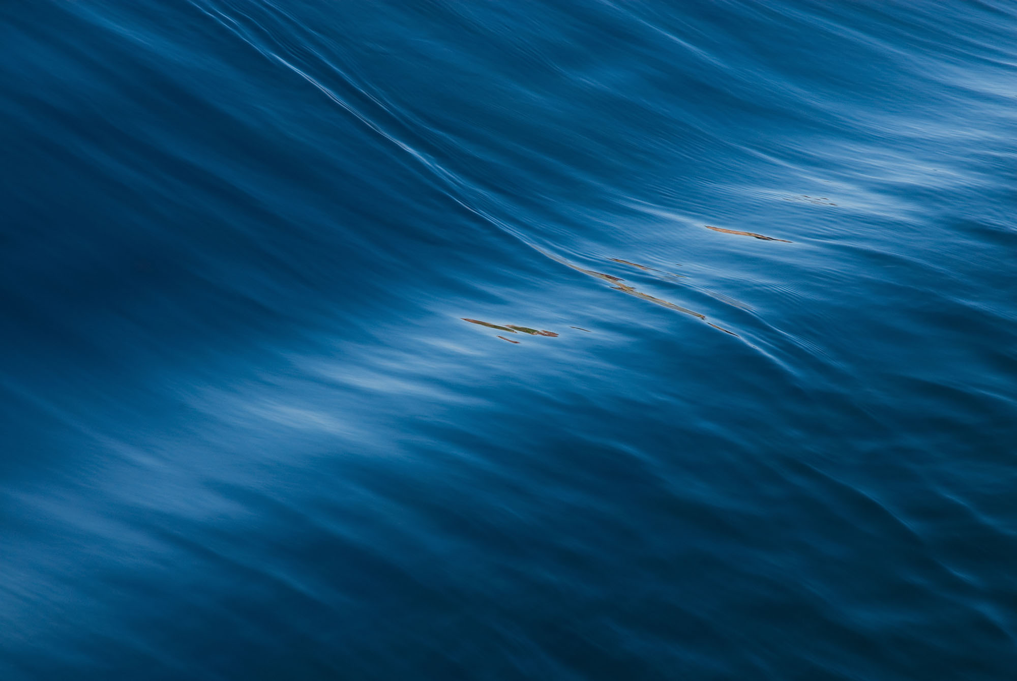 Water Banner