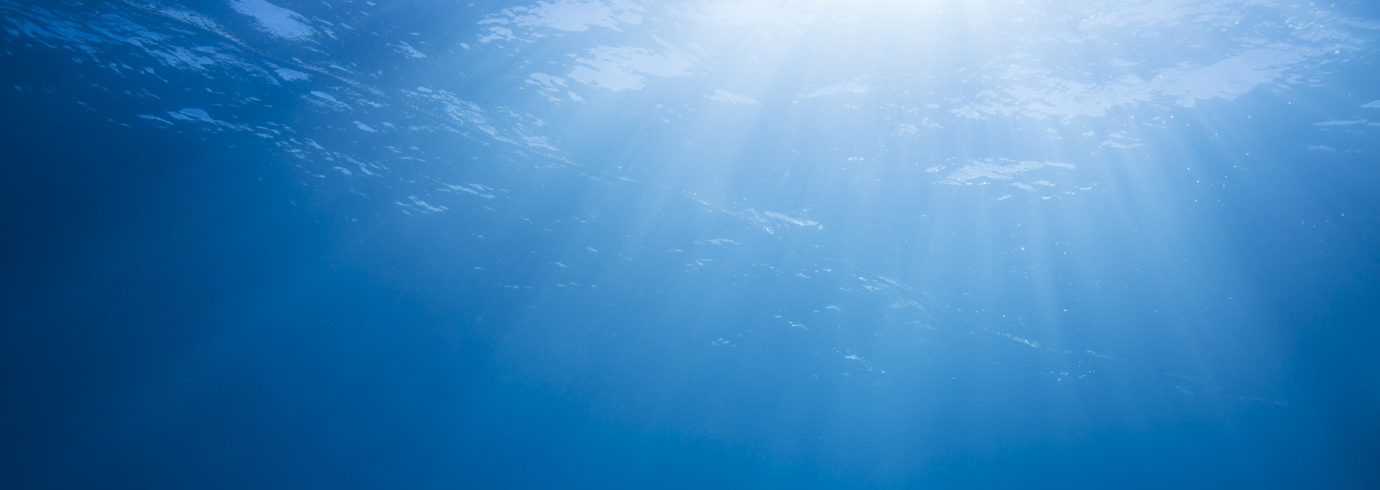 Water Banner